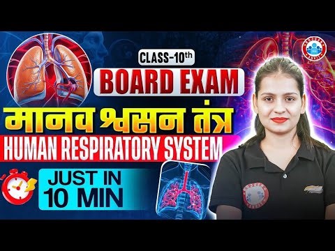 Class 10 Biology Diagrams | Respiratory System Diagram | 10th Biology Diagram Series
