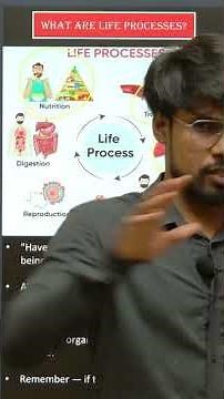 What are Life Processes | Class 10 Science | Chapter 6 | NCERT | Shorts | #MOTIVEBEHIND #class10