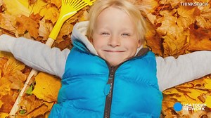 229K views · 75 shares | Tired of raking leaves? Well, you're in luck! Here are three reasons why you should put the rake down. | USA TODAY | Facebook