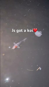 Built a pond over spring break!!!