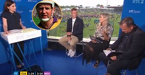 Wexford Legend Slates RTÉ's Coverage Of Clare Defeat | Balls.ie