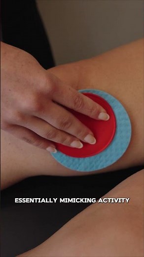 The Neubie Mapping Process {Explained}