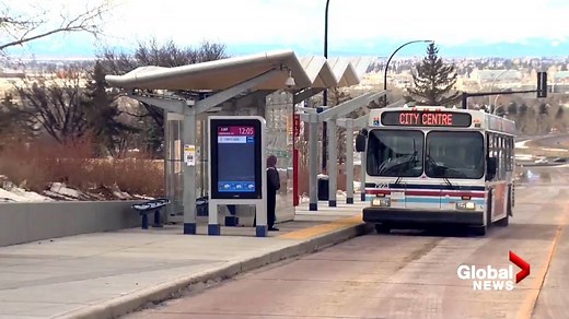 COVID-19 causing Calgary Transit staffing shortages, route changes, cancellations - Calgary | Globalnews.ca