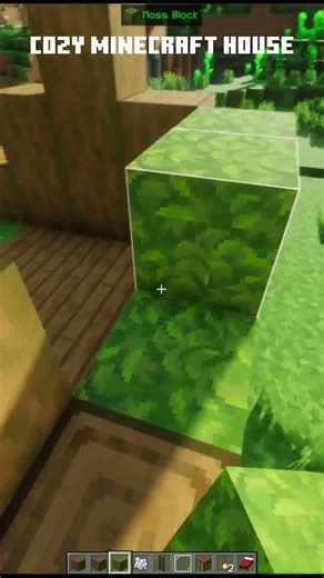 Cozy Minecraft House