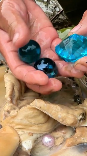 Country Girl’s Lucky Moment: Peculiar Clam Yields Pearl, Adding Joy to Quiet Rural Existence #pearl #pearls #gems #gemstones #reels | Hai jiang