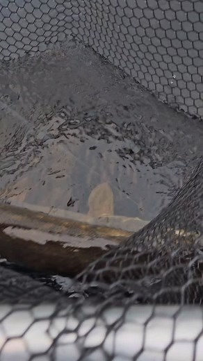 70 reactions | L.Corr Handmade lures on Reels | Facebook