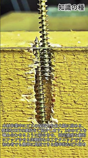 想像を超える2本のビス留め結束テクニック #diy #woodworking #carpentry #screws #tools