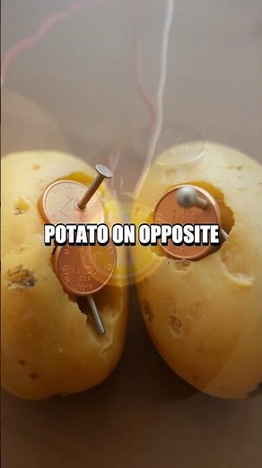 DIY Potato Battery Experiment