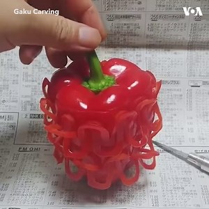 466K views · 7K reactions | A Japanese artist named Gaku carves fruits and vegetables into works of art. He has gained a large following on his Instagram page (@gakugakugakugakugaku1), where he posts photos and videos of him carving these intricate designs. Gaku must work quickly once he peels the fruit or vegetable, so he can finish before the produce turns brown. | Voice of America | Facebook