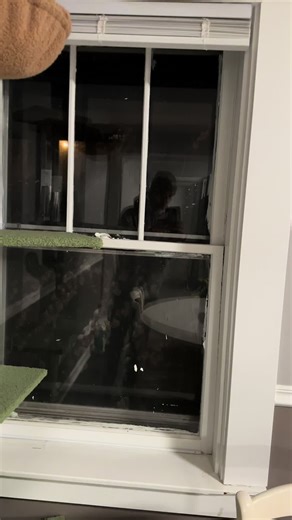 Insulating single pane windows with bubble wrap and water! #diy #diyproject #cold #blizzard #subzero