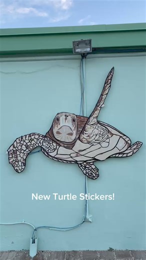 https://seaturtlehospitalstore.com/products/sticker-keezy-turtle-rf Bring the beauty of the ocean to your everyday life with this stunning waterproof sea turtle sticker, featuring original watercolor artwork by local Florida Keys artist Lyenna Wood. This sea turtle is painted in soft pastel colors that capture the essence of seaside bliss. Perfect for adding a touch of coastal charm to your tumbler, laptop, car, or kayak, this sticker is as durable as it is beautiful.With every sticker you buy, 