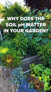 23K views · 89 reactions | Why does the soil pH matter in your garden? 樂 Without the proper pH, your plants won't be able to absorb nutrients. Follow along for tips from @seattleurbanfarmco on how to test and the best ways to adjust your soil's pH for the best garden possible.  #HGTVOutdoors | HGTV | Facebook