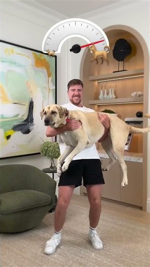 Mr best holding world biggest 🐕😱