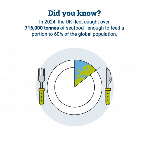 In 2024, the UK's fishing fleet continued to land more pelagic species such as mackerel, herring and blue whiting in line with growing global demand. Find out more about landing and the UK fleet at UK Seafood in Numbers: https://buff.ly/Bf6kWGz | Seafish