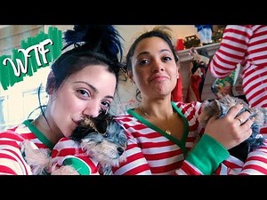 A DeMartino Christmas! Vlogmas Day 24! Niki DeMar