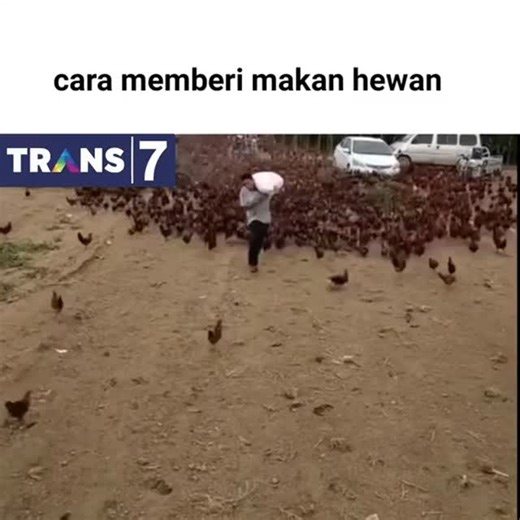 gabuts squad on Instagram: "Penggoreng handal SC:anjir_wyu/tiktok Mohon untuk follow akun ini agar gak ketinggalan meme lainnya Akun meme admin @lawakan.sekampung @lawakan_kartun @lawakan_shitpost @lawakan.politik @lawakan.jkt48 @recehan.qmak @lawakan.ftui Akun admin @hugo_genta #LawakanShitpost#MemesAsw#meme#memeindo#memeindonesia#klikbanjar#banjarmasin#1cak#wibu#weebmemes#animecrackindonesia#animememes#shitpost#asupanmeme#shitpostin"
