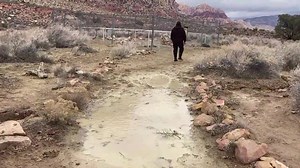 1.1K views | Spring Mountain Ranch State Park on Reels | Facebook