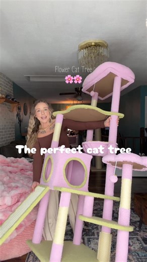 Find Your Perfect Cat Tree