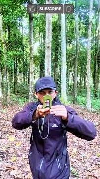 Alam Liar