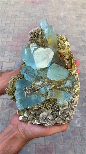 💎💙✨ Museum-Grade Aquamarine with Muscovite – Nagar, Skardu, Pakistan ✨💙💎 A breathtaking museum-quality aquamarine specimen showcasing brilliant gemmy blue crystals beautifully combined with shimmering golden muscovite. 🌟 The exceptional clarity, luster, and striking contrast make this masterpiece a true collector’s showpiece — elegance and perfection straight from the Nagar region of Skardu, Pakistan. 💫 📍 Locality: Nagar, Skardu, Pakistan 💎 Specimen Name: Aquamarine with Muscovite ⚖️ Gra