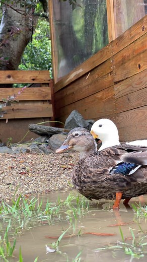 TikTokで長崎バイオパークNAGA BIOPARKさんをチェック！