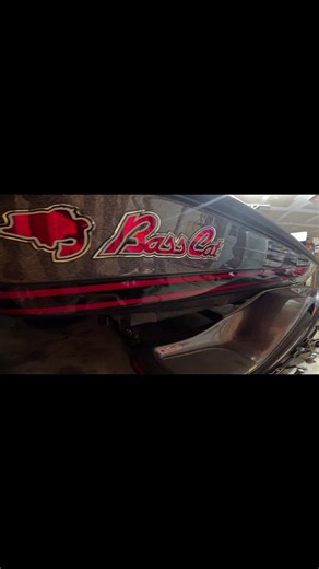 Bass Cat Cougar FTD 203 Hybrid. #bestridingbassboat #clemonsboats @basscatboatsofficial #championboats #roughwater #lakerie #northsea #smallmouthbassfishing #iitcanhandlechop