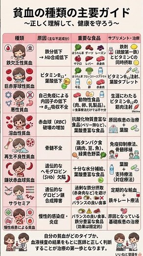 【貧血の真実】鉄分を摂っても治らない？8種類の貧血の原因と対策を徹底解説！｜鉄欠乏・ビタミン不足から遺伝性まで「正しい治し方」を図解ガイド