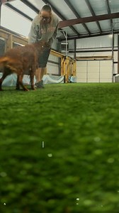 Create Unforgettable Moments with Your Pup – Start Dock Diving Today!The little moments with your dog are the ones you’ll cherish forever! Whether you’re looking to build confidence, strengthen your bond, or introduce your pup to a fun new sport, dock diving is the perfect way to make a splash.At Duke’s K9 Dash N’ Splash, we love watching our clients and their dogs grow together, learning new skills, and achieving amazing things. Dock diving is not just about jumping—it’s about trust, teamwork, 