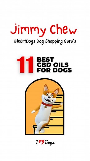 6.4K views · 96 reactions | If you have an anxious dog, one that needs help with mobility, or you’re looking for an alternative solution for pain relief, CBD products can be just what your dog needs to feel better. We did the research, and these are the best CBD oils we've found! For more info, read the full article here: https://iheartdogs.com/best-cbd-oils-for-dogs-for-pain-anxiety-more/ | iHeartDogs | Facebook