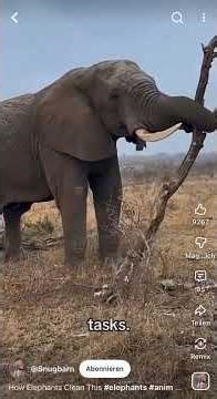 Youtube Short Infinity Screen 🚀🔥🥶🥇#shorts #youtubeshorts #viral #trending #fyp #tiktok #reels