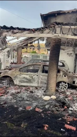 Video de MANNY COA (@manny.coa) relacionado con “addie and oscar”