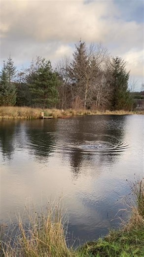That’s Gaz off the mark first today in their winter league. | Raemoir trout fishery