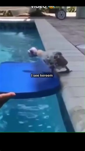 Hope you like this one too 😂 #iseekereem #funnydance #fypviral #musictiktok #trendings