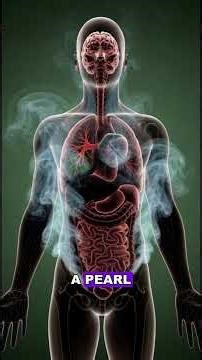 What a Cigarette Does to the Human Body in 60 Seconds | Medical Explanation