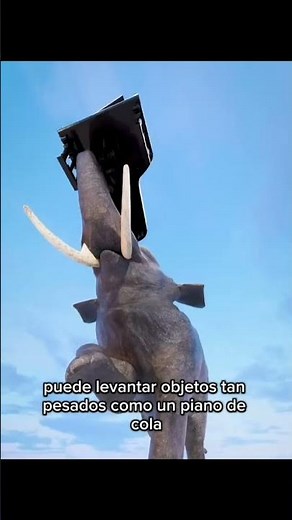 🐘FUERZA de la Trompa De un ELEFANTE😱
