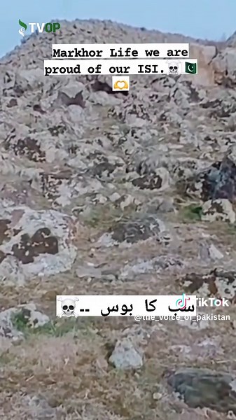 Exploring the Role of the Pakistan Air Force