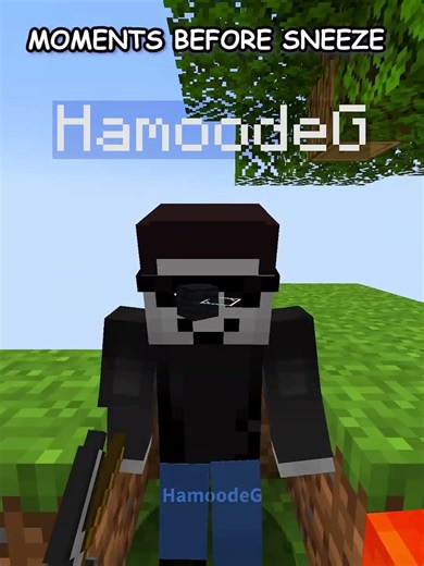 Minecraft Truman Show 2 💀