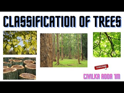 Classification of trees || Timber || Endogeneous trees || Exogeneous trees || BMCP || Wood ||