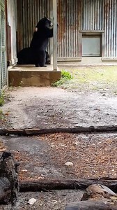 10K views · 34 reactions | Fort Worth Zoo on Reels | Facebook