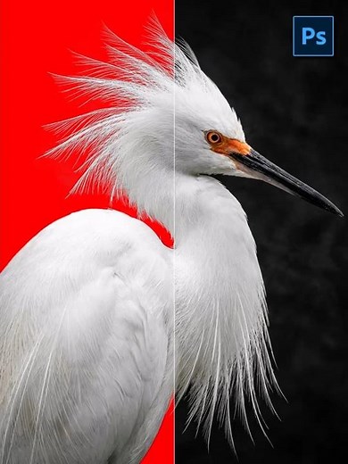 How to Fix Background Removal Errors in Adobe Photoshop 2026 | Pro Tips for Clean Cutouts