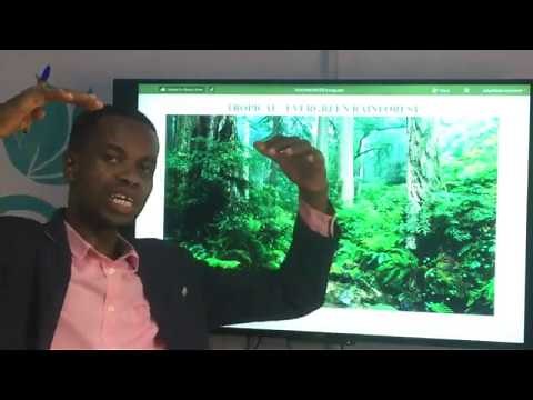 THE VEGETATION ZONES OF GHANA 🇬🇭