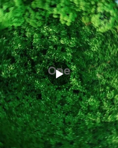 One month to go. On March 11–12, the Circular Valley Convention 2026 brings together decision-makers from industry, politics, science and civil society at Areal Böhler in Düsseldorf. What to expect:… | Circular Valley Convention