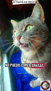 Mi mamá me decía🤣👍 #comedy #broma #meme #joke #funny #gracioso #darkhumor | Benita bonita