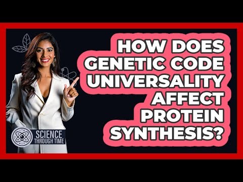 How Does Genetic Code Universality Affect Protein Synthesis?