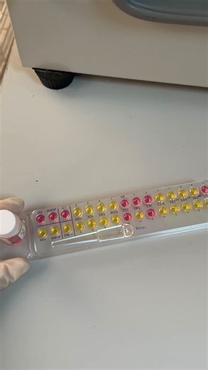 Zibeyda Gambarova | MD on Instagram: "Culture testing for Mycoplasma and Ureaplasma (colorimetric method) is a culture-based diagnostic approach that relies on the ability of these microorganisms to change the pH of the growth medium. This test is an important complement to molecular diagnostic methods. In addition, it allows assessment of antimicrobial susceptibility: if the medium remains yellow, the organism is considered sensitive to the antibiotic, whereas a shift to pink indicates resistan