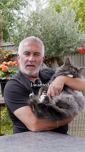 Meet one of my other cats, Annabelle! | Paul Hollywood