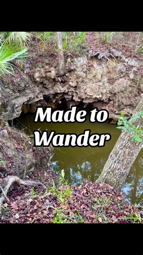 We are made to wander. #explorepage✨ #nature #trail #oldflorida #adventure