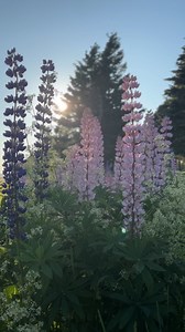 989 reactions · 20 comments | Stop and stay awhile  #explorepei #pei #princeedwardisland | Prince Edward Island Tourism | Facebook