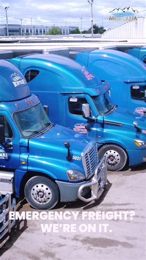 Montana Group of Companies LTD on TikTok