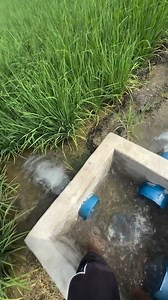 Be the energy you want to attract. | Rotten Queen Cosplay